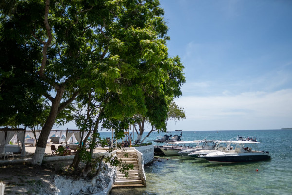 BORA BORA (ÁREA CLUB)