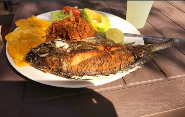 Cultura Gastronómica