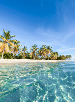 Islas